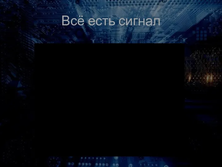 Всё есть сигнал