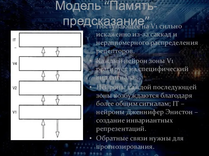 Модель “Память-предсказание” Поступающее на V1 сильно искаженно из-за саккад и