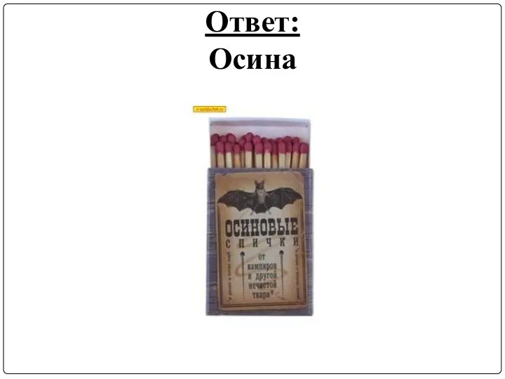 Ответ: Осина