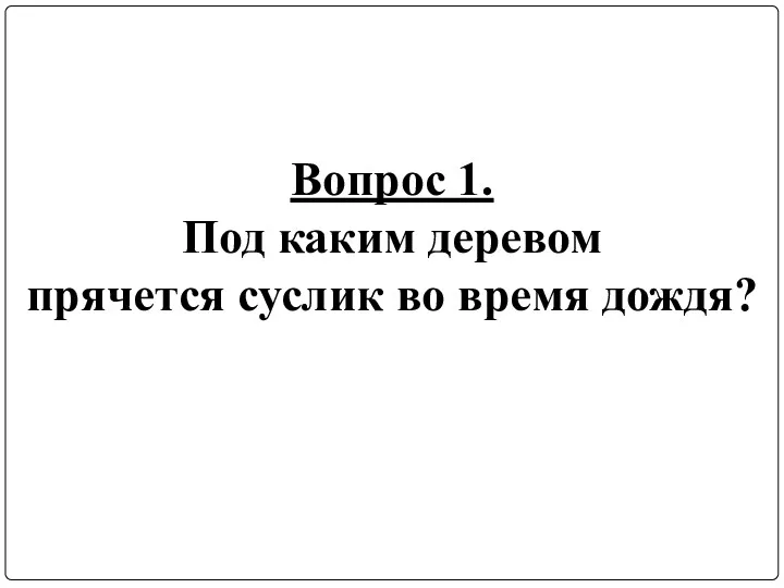 Вопрос 1. Под каким деревом прячется суслик во время дождя?