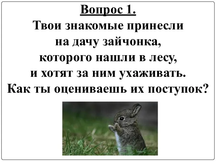 Вопрос 1. Твои знакомые принесли на дачу зайчонка, которого нашли