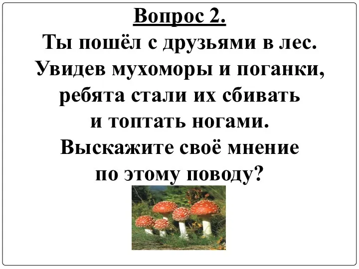 Вопрос 2. Ты пошёл с друзьями в лес. Увидев мухоморы