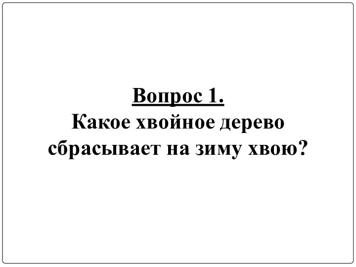 Вопрос 1. Какое хвойное дерево сбрасывает на зиму хвою?