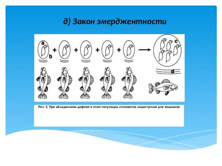 д) Закон эмерджентности