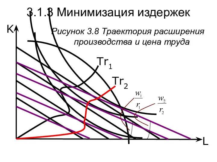 L K Рисунок 3.8 Траектория расширения производства и цена труда Tr1 Tr2 3.1.3 Минимизация издержек