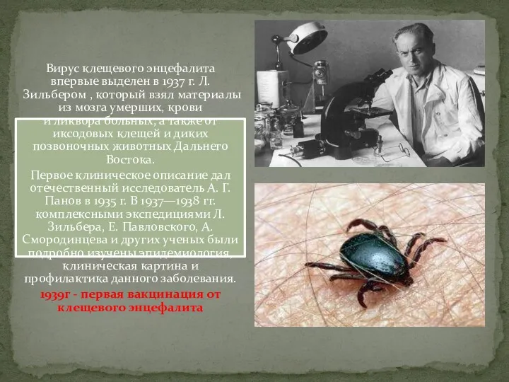 Вирус клещевого энцефалита впервые выделен в 1937 г. Л. Зильбером