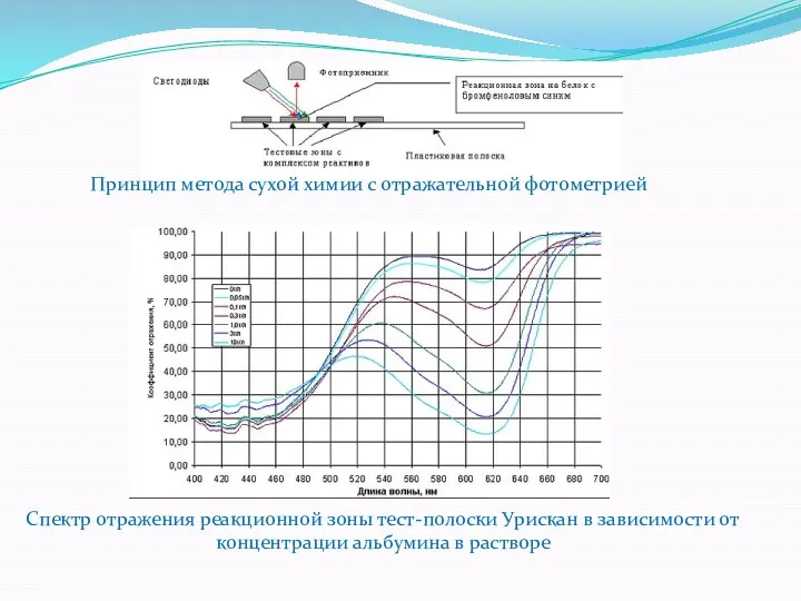 Принцип метода сухой химии с отражательной фотометрией Спектр отражения реакционной