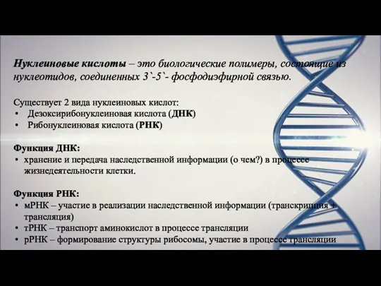 Нуклеиновые кислоты – это биологические полимеры, состоящие из нуклеотидов, соединенных