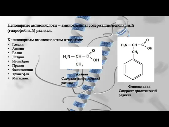 Неполярные аминокислоты – аминокислоты содержащие неполярный (гидрофобный) радикал. К неполярным
