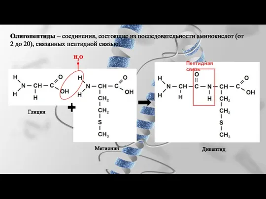 Олигопептиды – соединения, состоящие из последовательности аминокислот (от 2 до