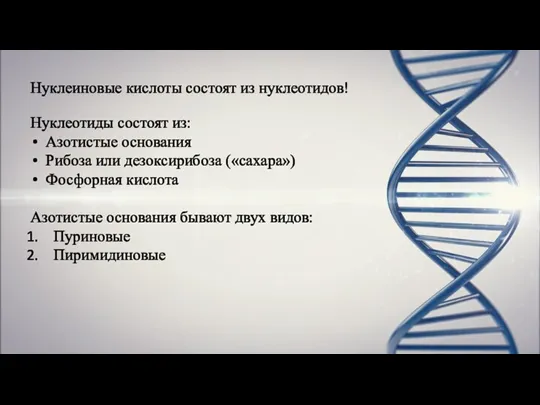 Нуклеиновые кислоты состоят из нуклеотидов! Нуклеотиды состоят из: Азотистые основания