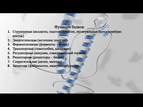Функции белков: Структурная (коллаген, эластин, кератин, интегральные белки мембран клеток)