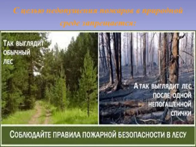 С целью недопущения пожаров в природной среде запрещается: Бросать в