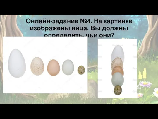 Онлайн-задание №4. На картинке изображены яйца. Вы должны определить, чьи они?