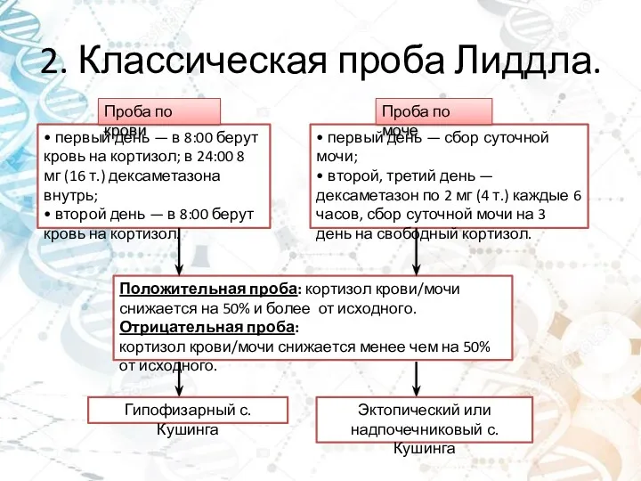 2. Классическая проба Лиддла. • первый день — в 8:00