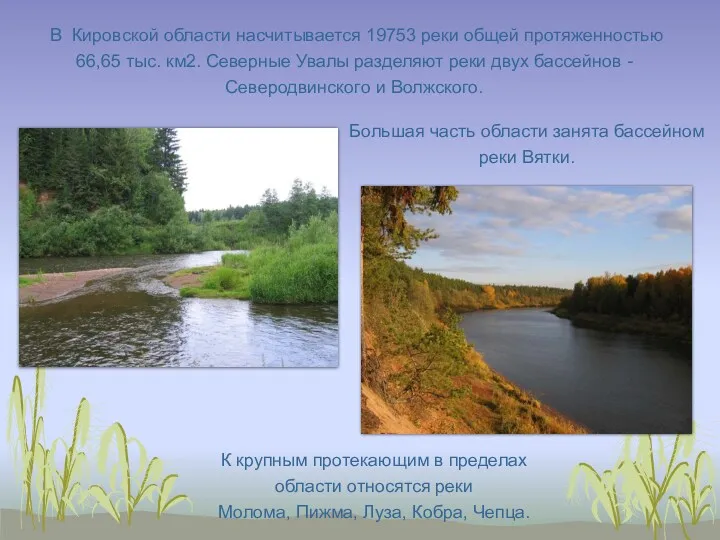 В Кировской области насчитывается 19753 реки общей протяженностью 66,65 тыс.
