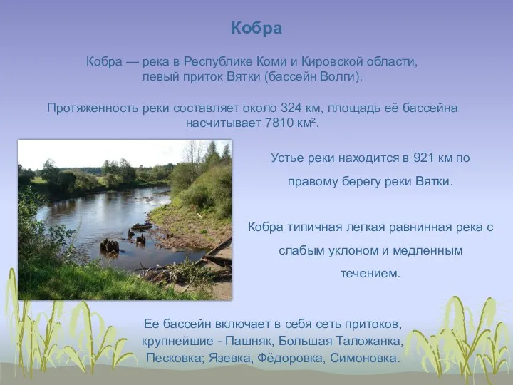 Кобра — река в Республике Коми и Кировской области, левый приток Вятки (бассейн