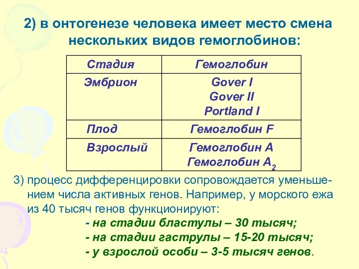 2) в онтогенезе человека имеет место смена нескольких видов гемоглобинов: