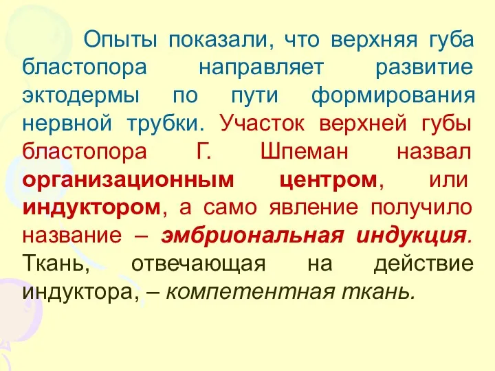 Опыты показали, что верхняя губа бластопора направляет развитие эктодермы по