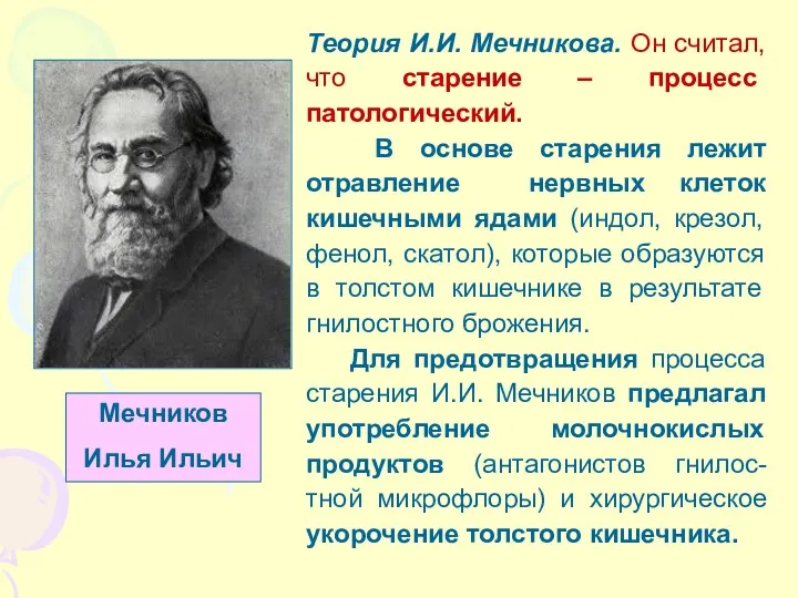 Теория И.И. Мечникова. Он считал, что старение – процесс патологический.