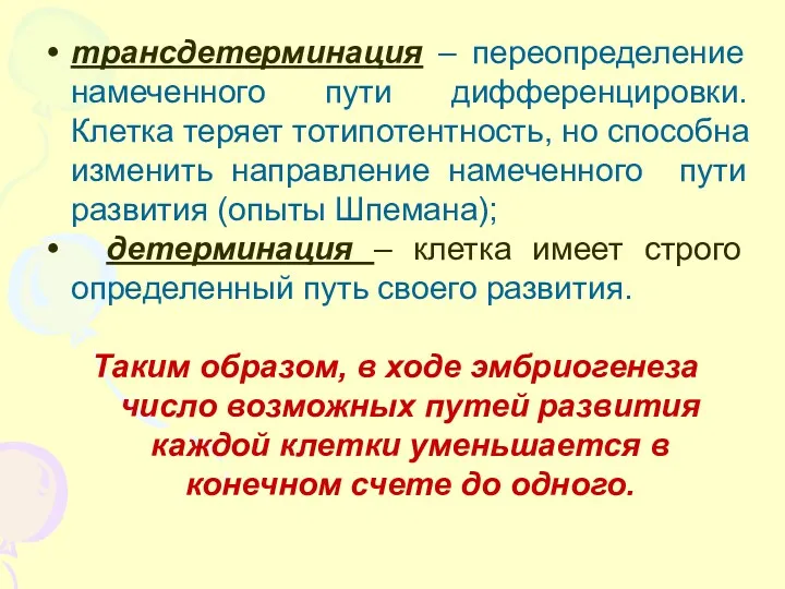 трансдетерминация – переопределение намеченного пути дифференцировки. Клетка теряет тотипотентность, но