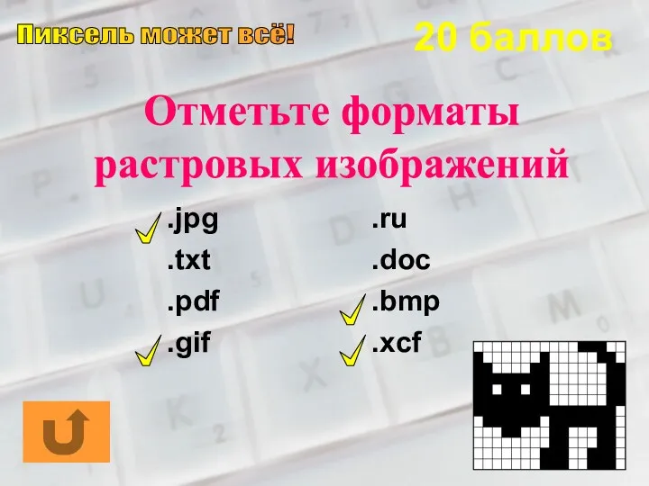 20 баллов Отметьте форматы растровых изображений .jpg .txt .pdf .gif .ru .doc .bmp