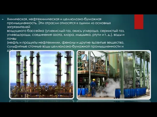 Химическая, нефтехимическая и целлюлозно-бумажная промышленность. Эти отрасли относятся к одним