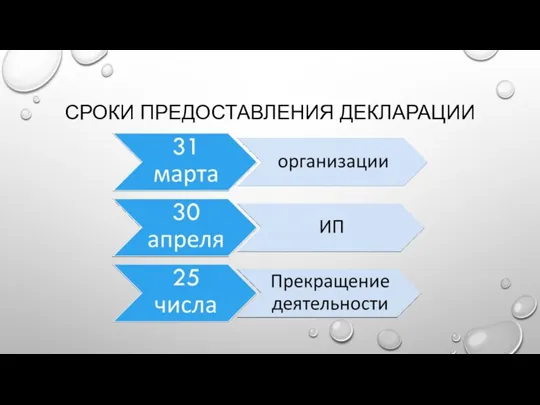 СРОКИ ПРЕДОСТАВЛЕНИЯ ДЕКЛАРАЦИИ