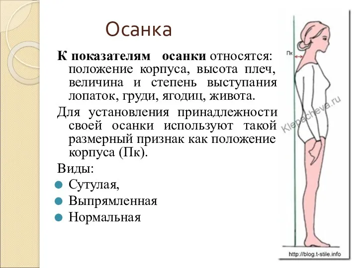 Осанка К показателям осанки относятся: положение корпуса, высота плеч, величина