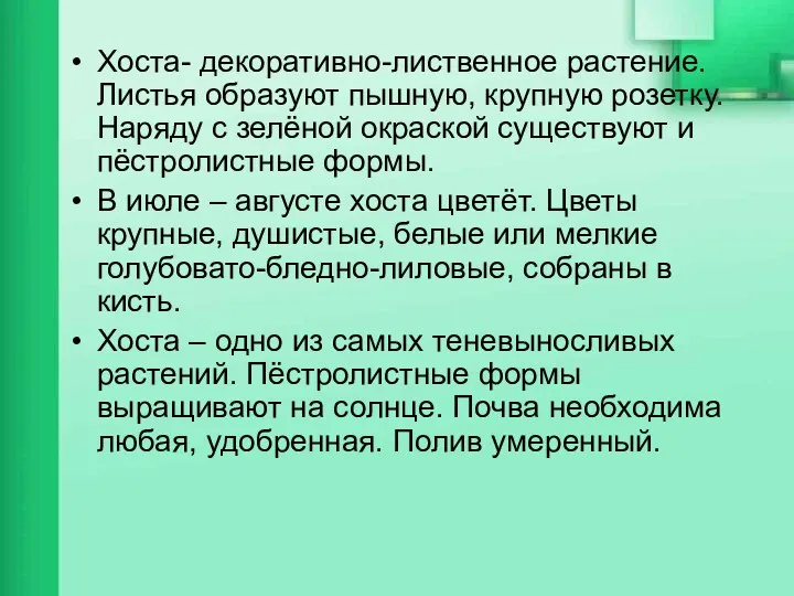 Хоста- декоративно-лиственное растение. Листья образуют пышную, крупную розетку. Наряду с