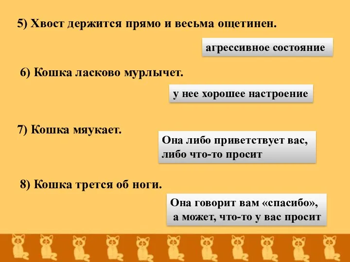 5) Хвост держится прямо и весьма ощетинен. агрессивное состояние 6) Кошка ласково мурлычет.