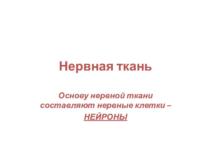 Нервная ткань Основу нервной ткани составляют нервные клетки – НЕЙРОНЫ