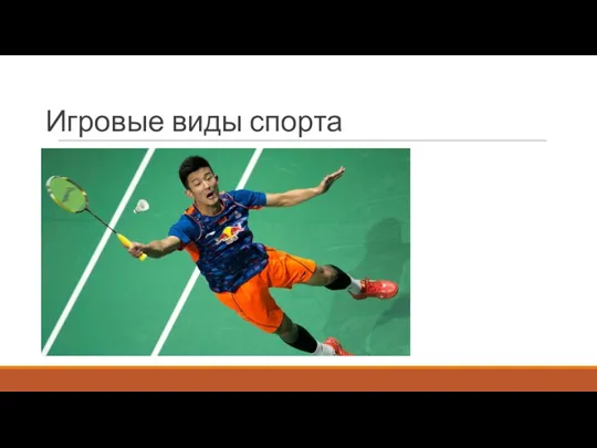 Игровые виды спорта