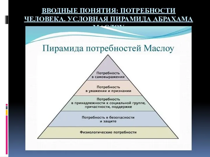 ВВОДНЫЕ ПОНЯТИЯ: ПОТРЕБНОСТИ ЧЕЛОВЕКА. УСЛОВНАЯ ПИРАМИДА АБРАХАМА МАСЛОУ