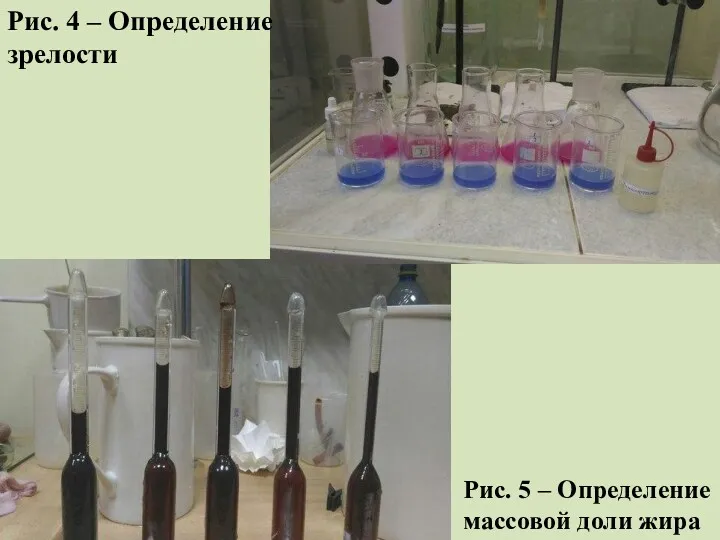 Рис. 4 – Определение зрелости Рис. 5 – Определение массовой доли жира