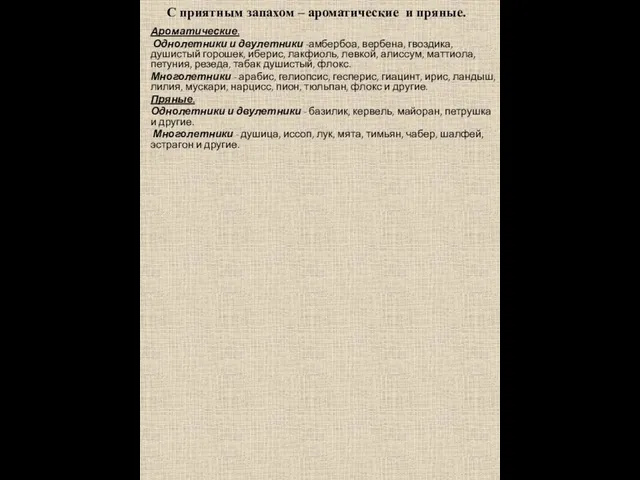 С приятным запахом – ароматические и пряные. Ароматические. Однолетники и