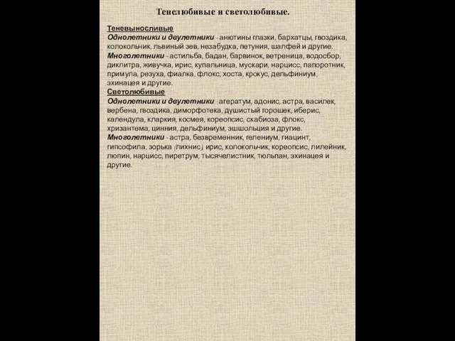 Теневыносливые Однолетники и двулетники - анютины глазки, бархатцы, гвоздика, колокольчик,