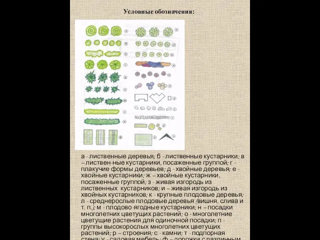 Условные обозначения: а - лиственные деревья; б - лиственные кустарники;