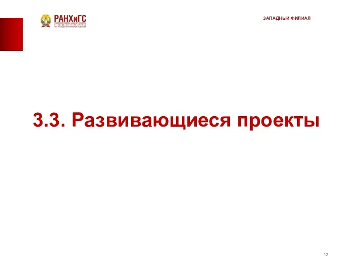 3.3. Развивающиеся проекты ЗАПАДНЫЙ ФИЛИАЛ