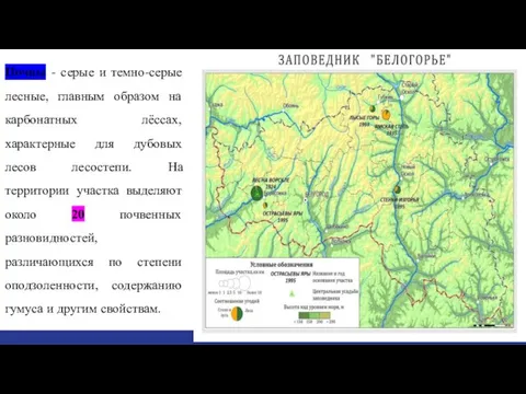 Почвы - серые и темно-серые лесные, главным образом на карбонатных лёссах, характерные для