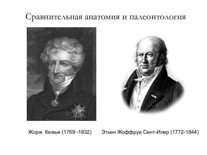 Сравнительная анатомия и палеонтология Жорж Кювье (1769 -1832) Этьен Жоффруа Сент-Илер (1772-1844)