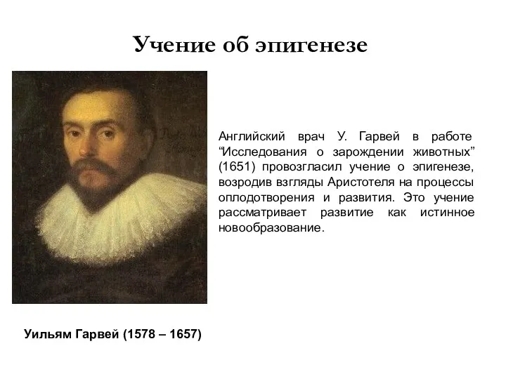Учение об эпигенезе Уильям Гарвей (1578 – 1657) Английский врач У. Гарвей в