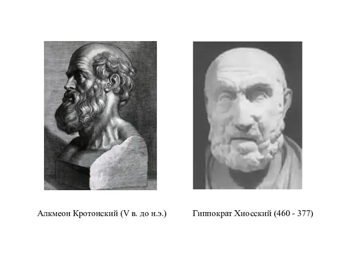 Гиппократ Хиосский (460 - 377) Алкмеон Кротонский (V в. до н.э.)