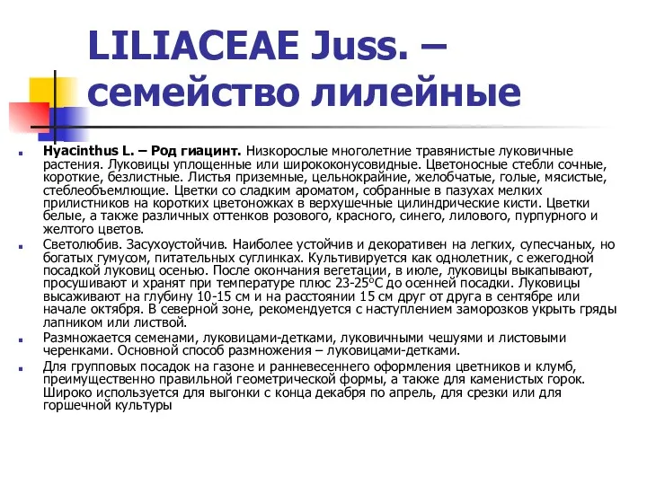 LILIACEAE Juss. – семейство лилейные Hyacinthus L. – Род гиацинт. Низкорослые многолетние травянистые