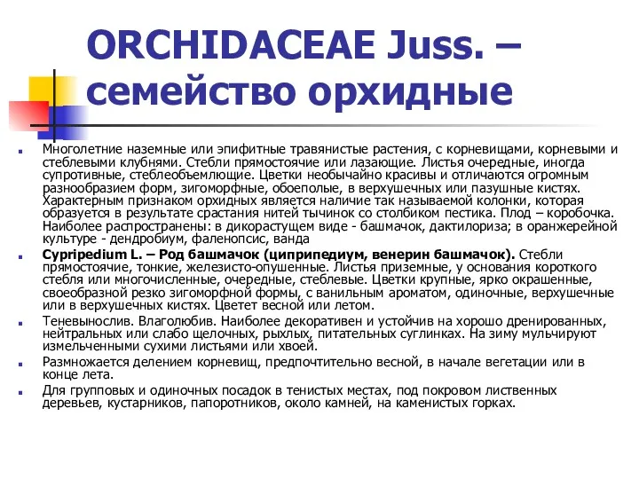 ORCHIDACEAE Juss. – семейство орхидные Многолетние наземные или эпифитные травянистые растения, с корневищами,