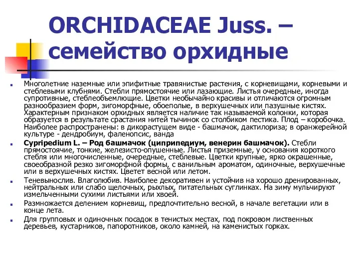 ORCHIDACEAE Juss. – семейство орхидные Многолетние наземные или эпифитные травянистые