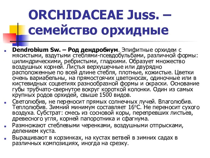 ORCHIDACEAE Juss. – семейство орхидные Dendrobium Sw. – Род дендробиум. Эпифитные орхидеи с