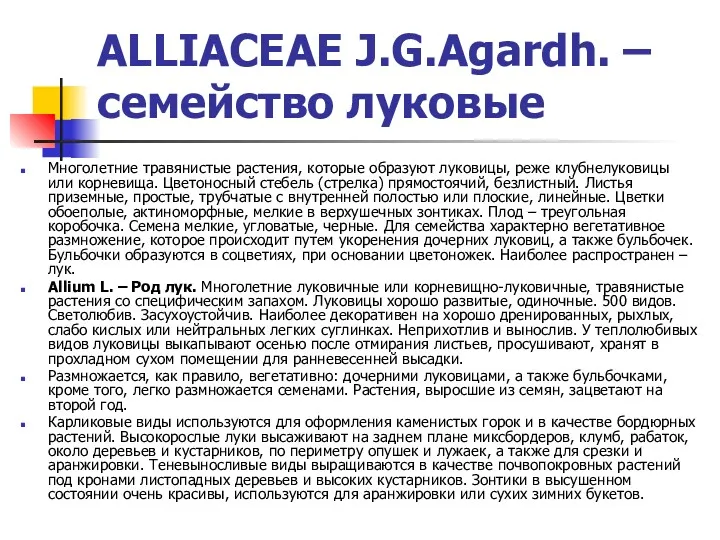 ALLIACEAE J.G.Agardh. – семейство луковые Многолетние травянистые растения, которые образуют луковицы, реже клубнелуковицы