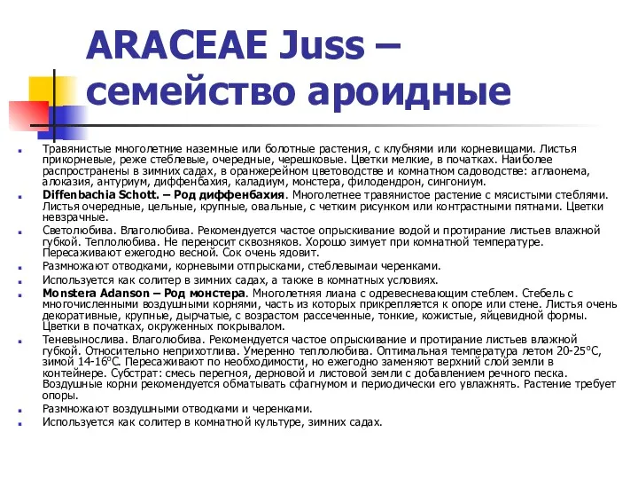 ARACEAE Juss – семейство ароидные Травянистые многолетние наземные или болотные растения, с клубнями