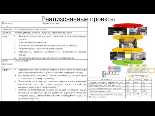 Реализованные проекты